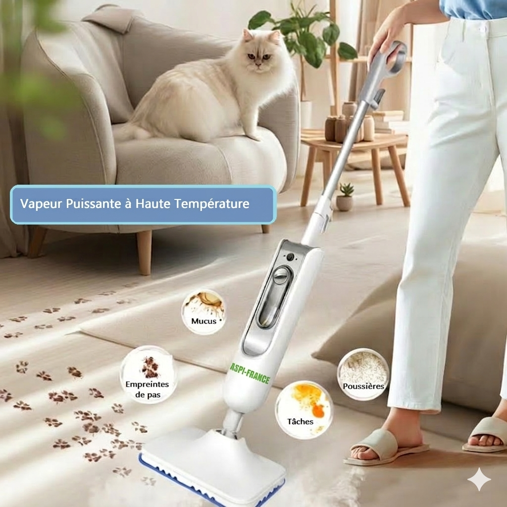 Balai vapeur CD-260 en utilisation sur tapis | Aspi-Franc
