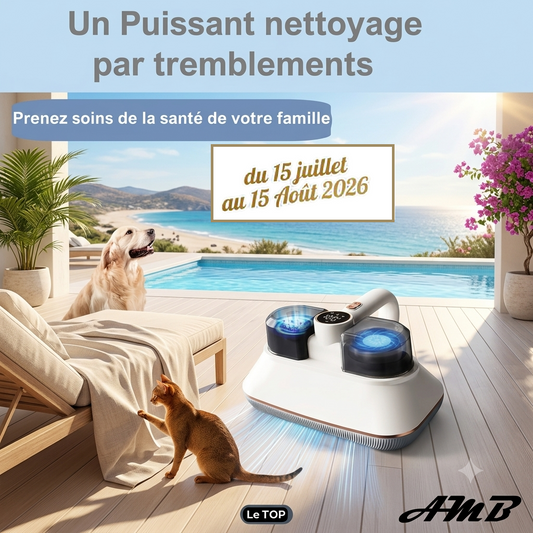 Aspirateur Matelas LG10 - Sans Fil - Aspiration Puissante - Charge USB- Spécial été