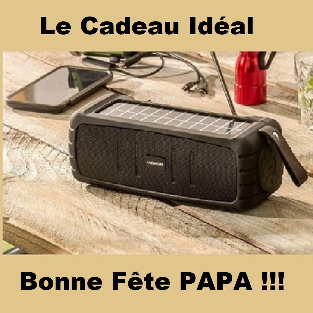 Enceinte Bluetooth - design robuste et compact