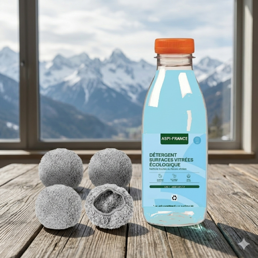 Pack Entretien Robot Lave-Vitre RAL - 2 Éponges de Nettoyage